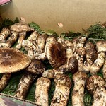 柚木元 - 朝採れ松茸