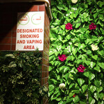 シュエターニ - 異国感