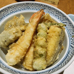 Tempura Yama No Ue - 