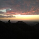 さかなどころ ともさき - 