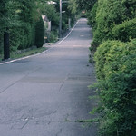 仙石高原大箱根一の湯 - お散歩でみつけたネコ