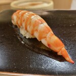 日本橋蛎殻町 すぎた - 車海老握り