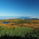 ニューデイズミニ - 弥陀ヶ原の草紅葉　背後に鳥海山