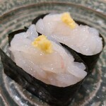 Minato Zushi - 白えび