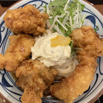 Marugame Seimen - 