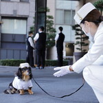 ザ・ペニンシュラ東京 - 