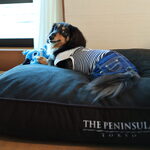 ザ・ペニンシュラ東京 - クッションはシモンズ製