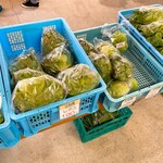 八紘学園 農産物直売所 - 【2021年09月】この時は相場高でしたが、葉物も割と出てます。
