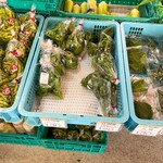 八紘学園 農産物直売所 - 【2021年09月】バジルももうそろそろ終わるかなあ。