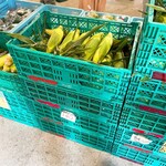 八紘学園 農産物直売所 - 【2021年09月】とうきびはもうラストだな。