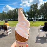 八紘学園 農産物直売所 - 【2021年09月】ミニソフト＠200円、毎回買っちゃう、、、しかも旨い(*^^*)。