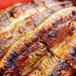 うなぎの若林 - 