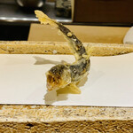 日本橋 蕎ノ字 - ☆子持ち鮎（静岡・天竜川）