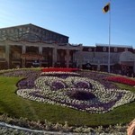 トゥモローランド・テラス - 