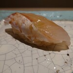 島津 - 青森むつ市のアラ