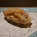 島津 - 追加 法華外