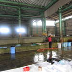 新島水産 - 水産場の様子。
