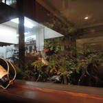 L’ISOLETTA - 中にはではオリーブとか、ブドウだったかな、が育ってます。暗くて見えませんが・・・