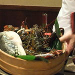 舞桜 - 今日の食材（ふぐ･オマール海老生きてます！）