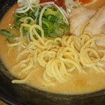 らーめん餃子 金虎 - 麺アップ