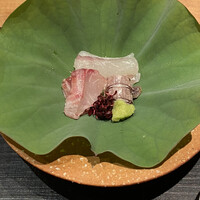 おおたに - お造り　鯒　子持ちしゃこ　イサキ