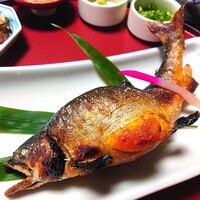 菊乃家 - メス鮎
