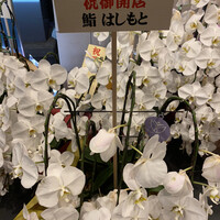 鮨処 やまと - 