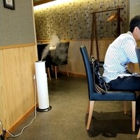 うなぎ 目白ぞろ芽 - 