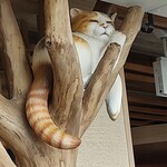 cafeとねこ雑貨 猫かっとん - 