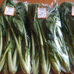 元気くん市場 - 小松菜(宮城県産)60円×3袋