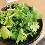seiammensoushintouki - 香菜