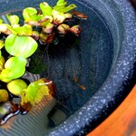 海鮮食堂 さばや - 