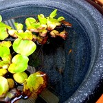 海鮮食堂 さばや - 