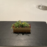 カンテサンス - 