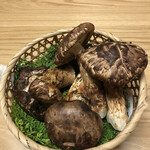 割烹 祺うち - 国産松茸
