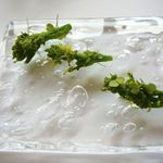 ナクレ - 【菜の花】♫2012/11