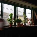 L'Italiana Ottimo - 内観