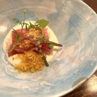 セルサルサーレ - 