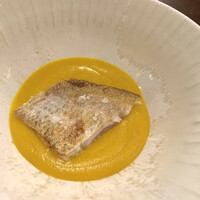 セルサルサーレ - 