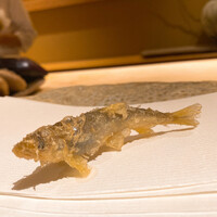 ぬま田 - 稚鮎 泳ぎ