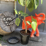 スープカレーなっぱ - 