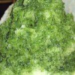 赤乃れん - 相方の宇治みぞれです