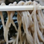 丸川屋 - 定番「ざるそば」食べますところです(11/19UP)