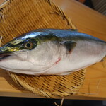 Sushiya Ginuma - 