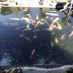 カフェアンドショップ ロータスランド - 涼しげな鯉
      2021/10/03
      お得なモーニングセット C Set 390円
      ごはん、生卵、納豆、醤油麹、味噌汁、漬物、ドリンク