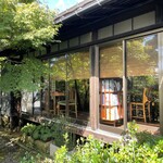 イロドリ - 庭から