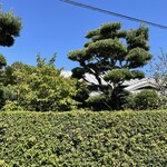 イロドリ - 生垣