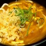 麺家大阪みどう - カレーうどん