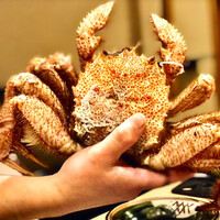 うを徳 - この日の６名でシェアですが、まあ見ない大きさです。お付き合いで購入とか。