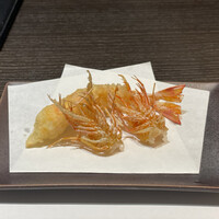 天冨良 よこ田 - 